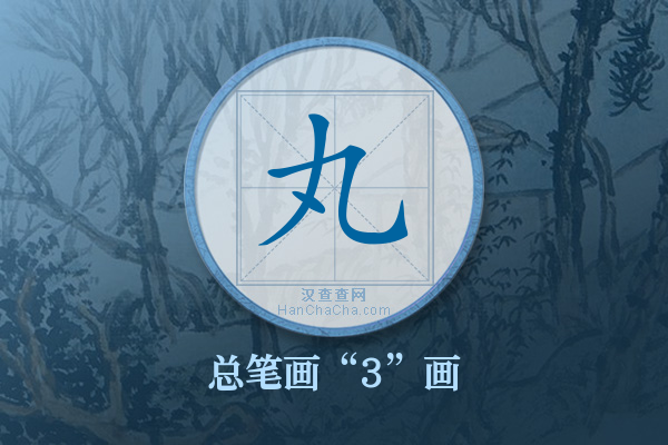 丸字有多少笔画