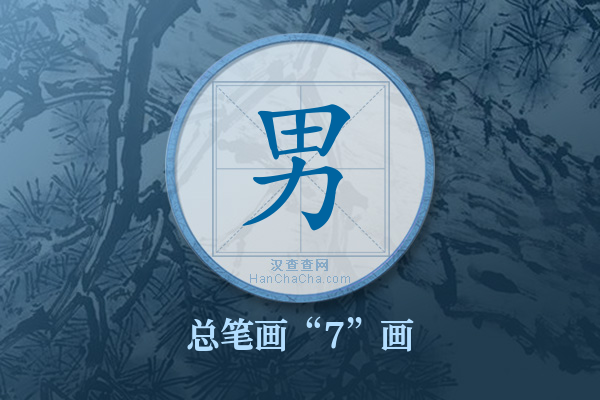 男字有多少笔画