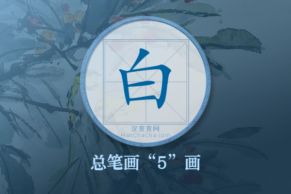 白字有多少笔画