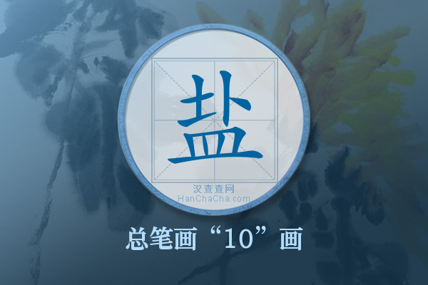 盐字有多少笔画