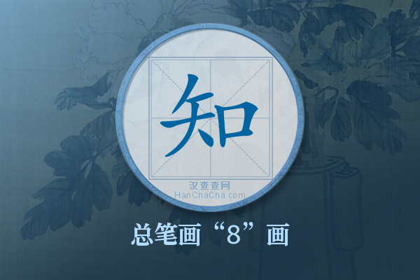 知字有多少笔画