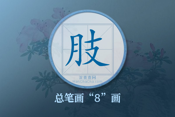 肢字有多少笔画