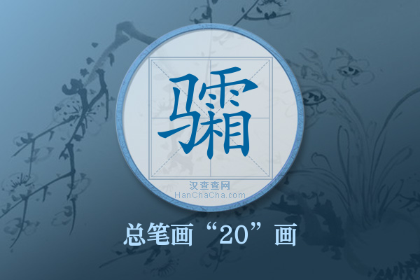 骦字有多少笔画