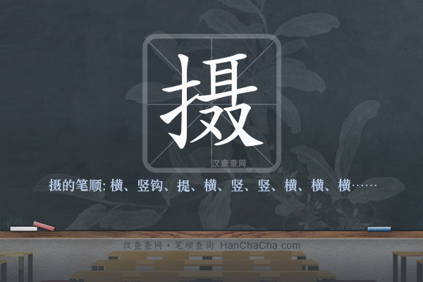 摄的笔顺