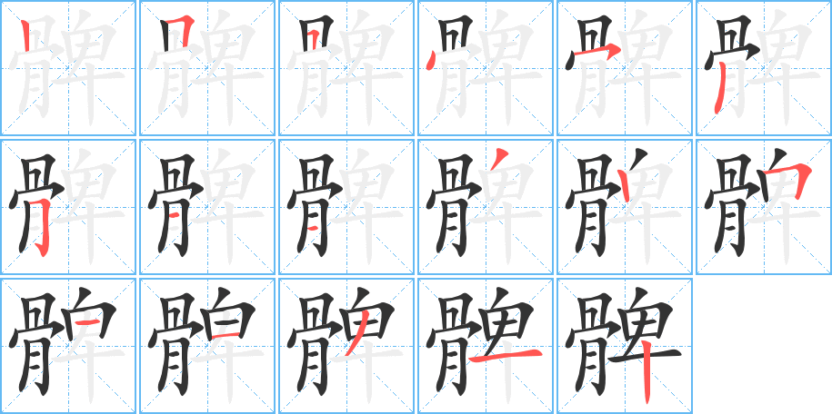 髀的笔顺