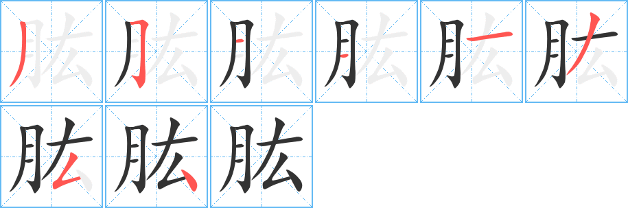 肱的笔顺