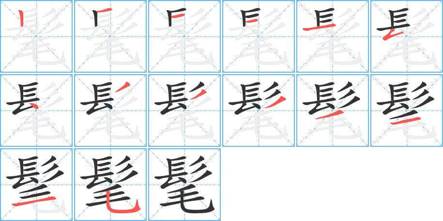 髦的笔顺