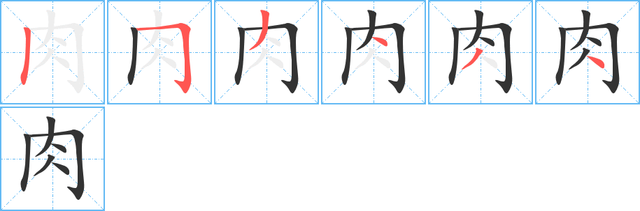 肉的笔顺