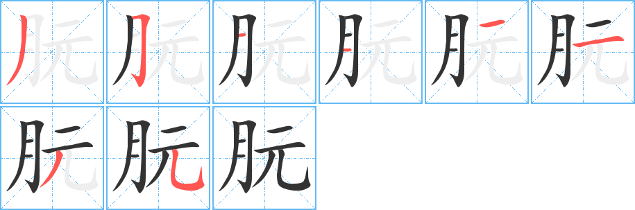 朊的笔顺