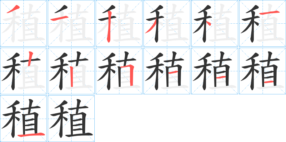 稙的笔顺