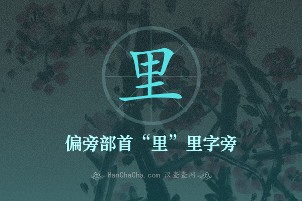 里的偏旁部首