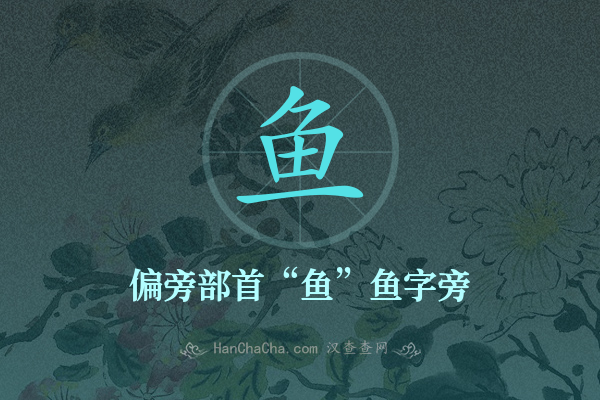 鱼的偏旁部首