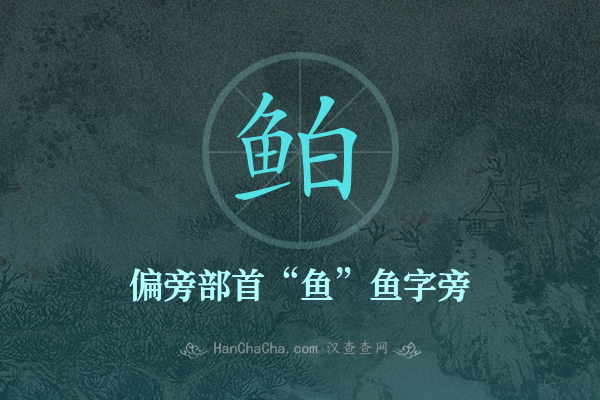 鲌的偏旁部首