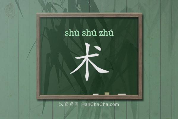 术的拼音