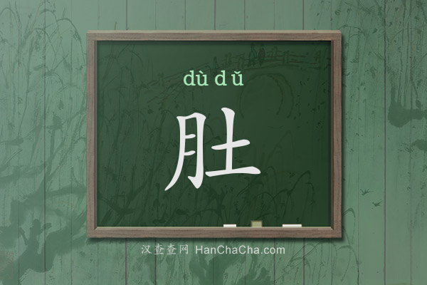 肚的拼音