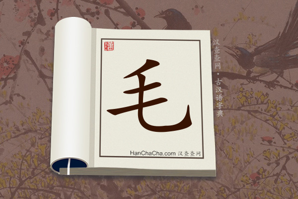 古汉语(文言文)字典“毛”字