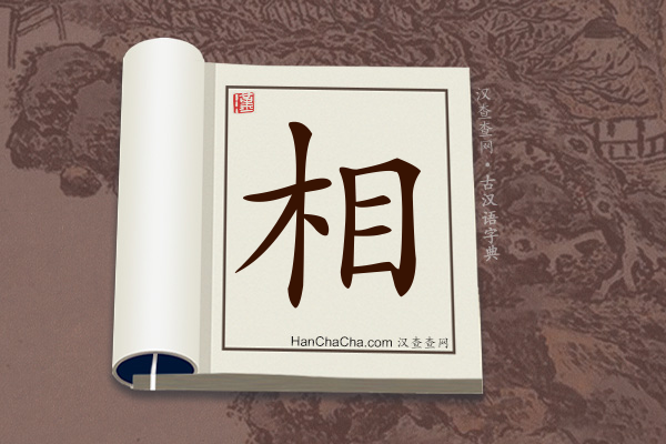 古汉语(文言文)字典“相”字