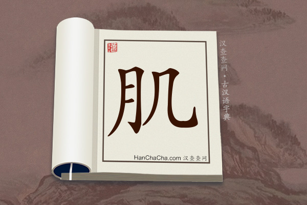 古汉语(文言文)字典“肌”字