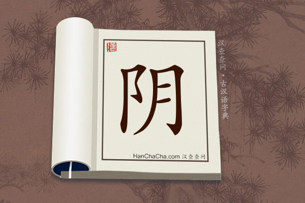 古汉语(文言文)字典“阴”字