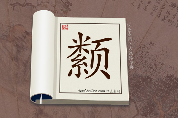 古汉语(文言文)字典“颣”字