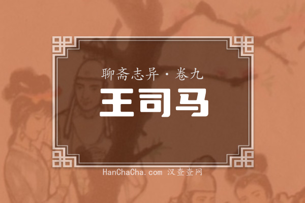 卷九·王司马
