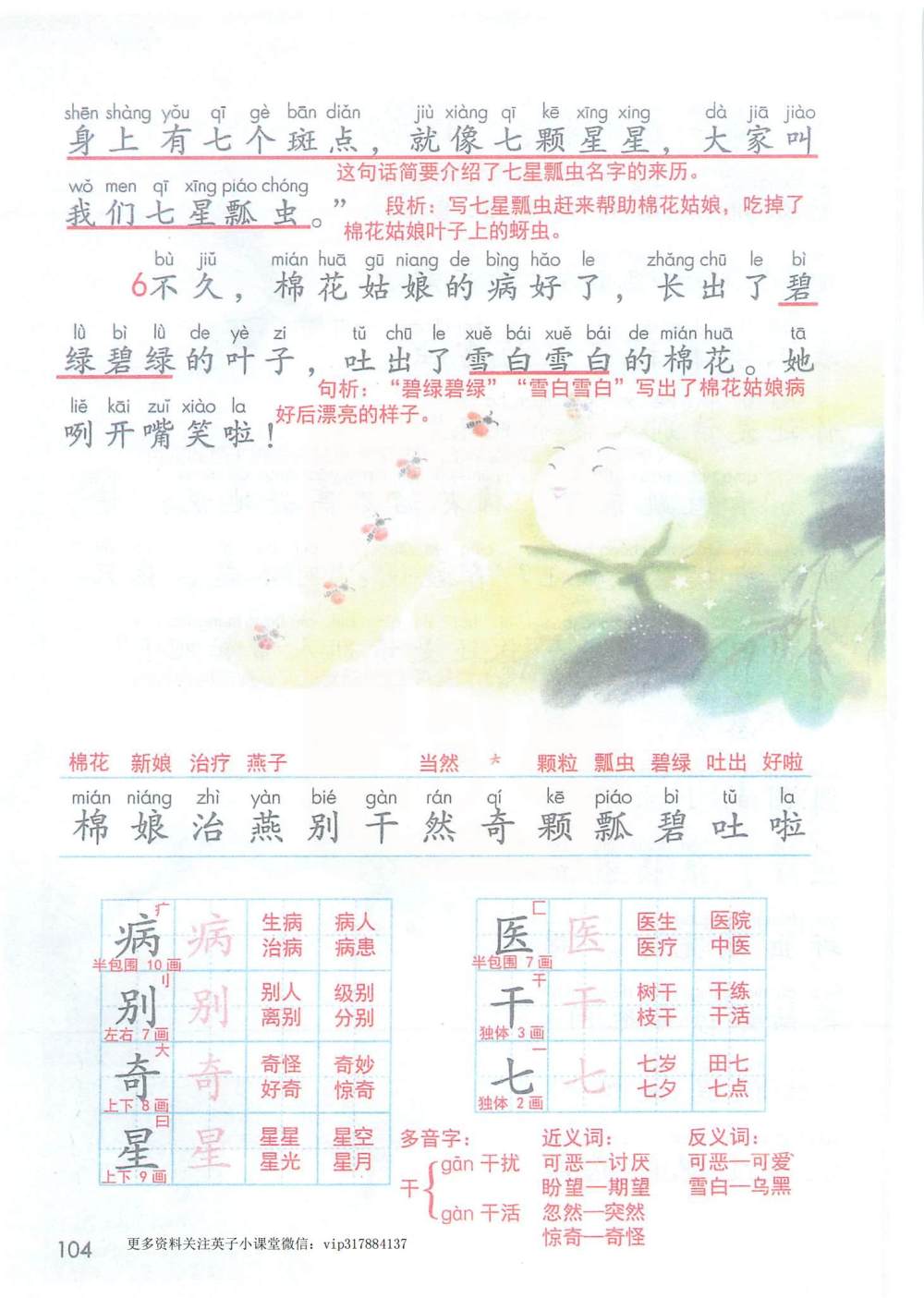 《棉花姑娘》课堂笔记