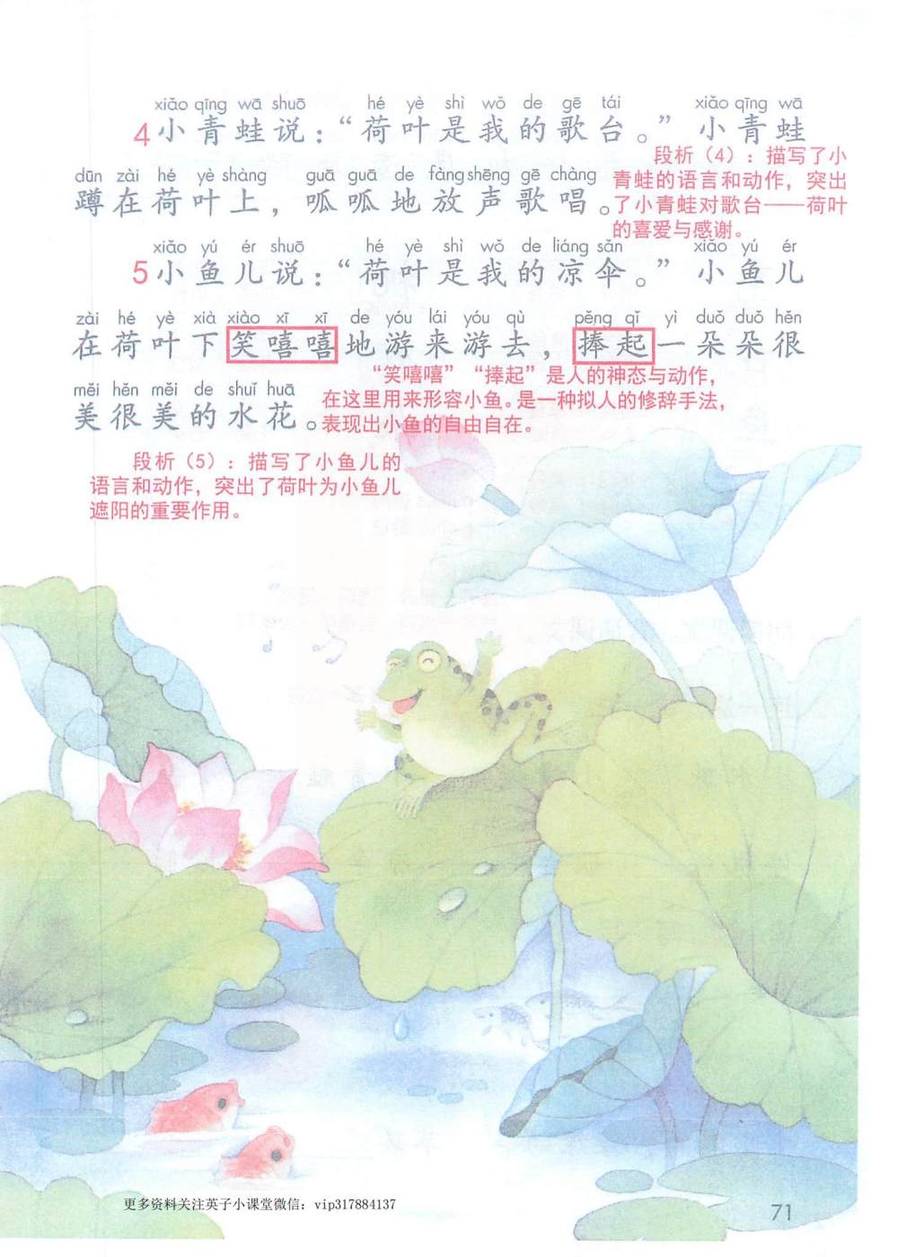 《荷叶圆圆》课堂笔记