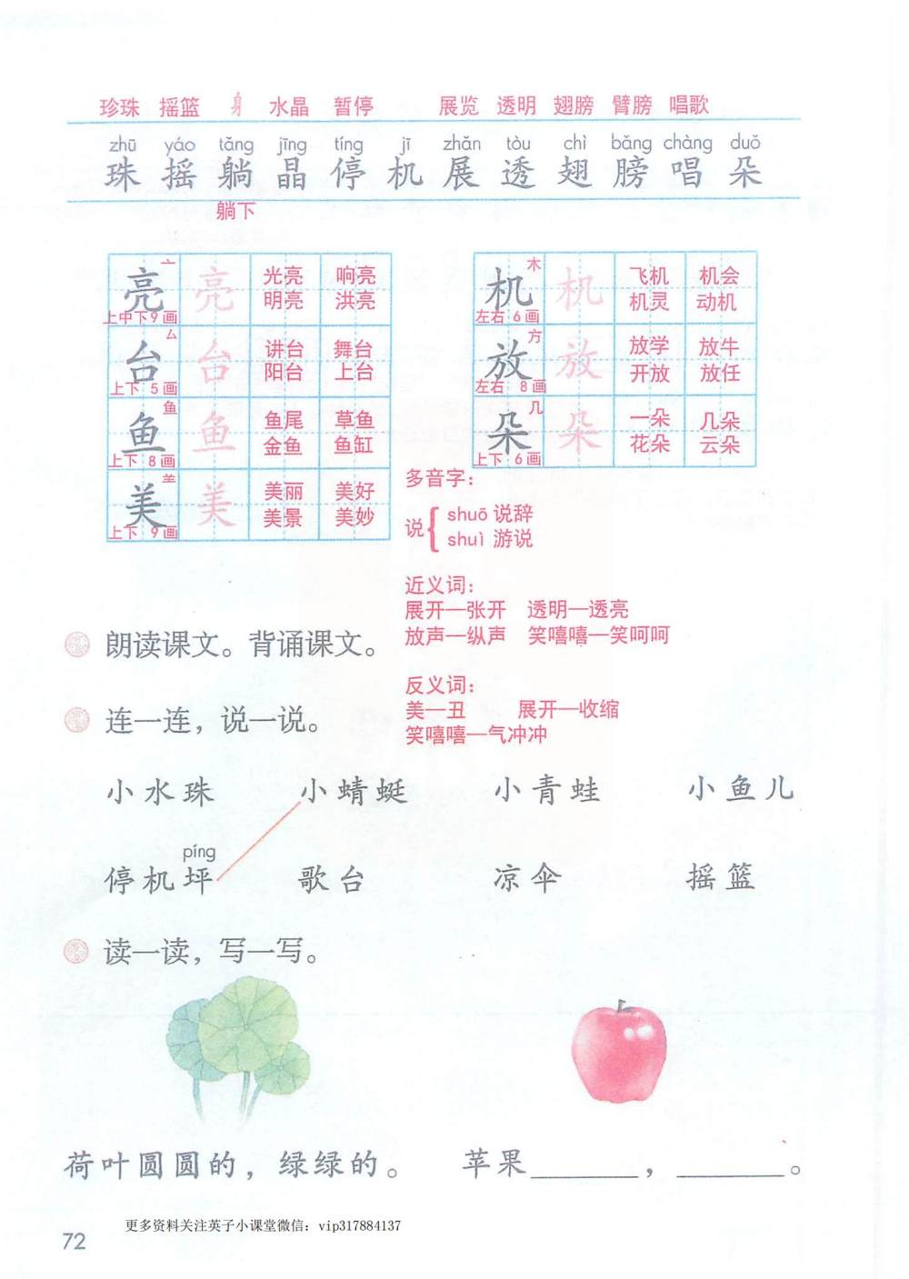 《荷叶圆圆》课堂笔记