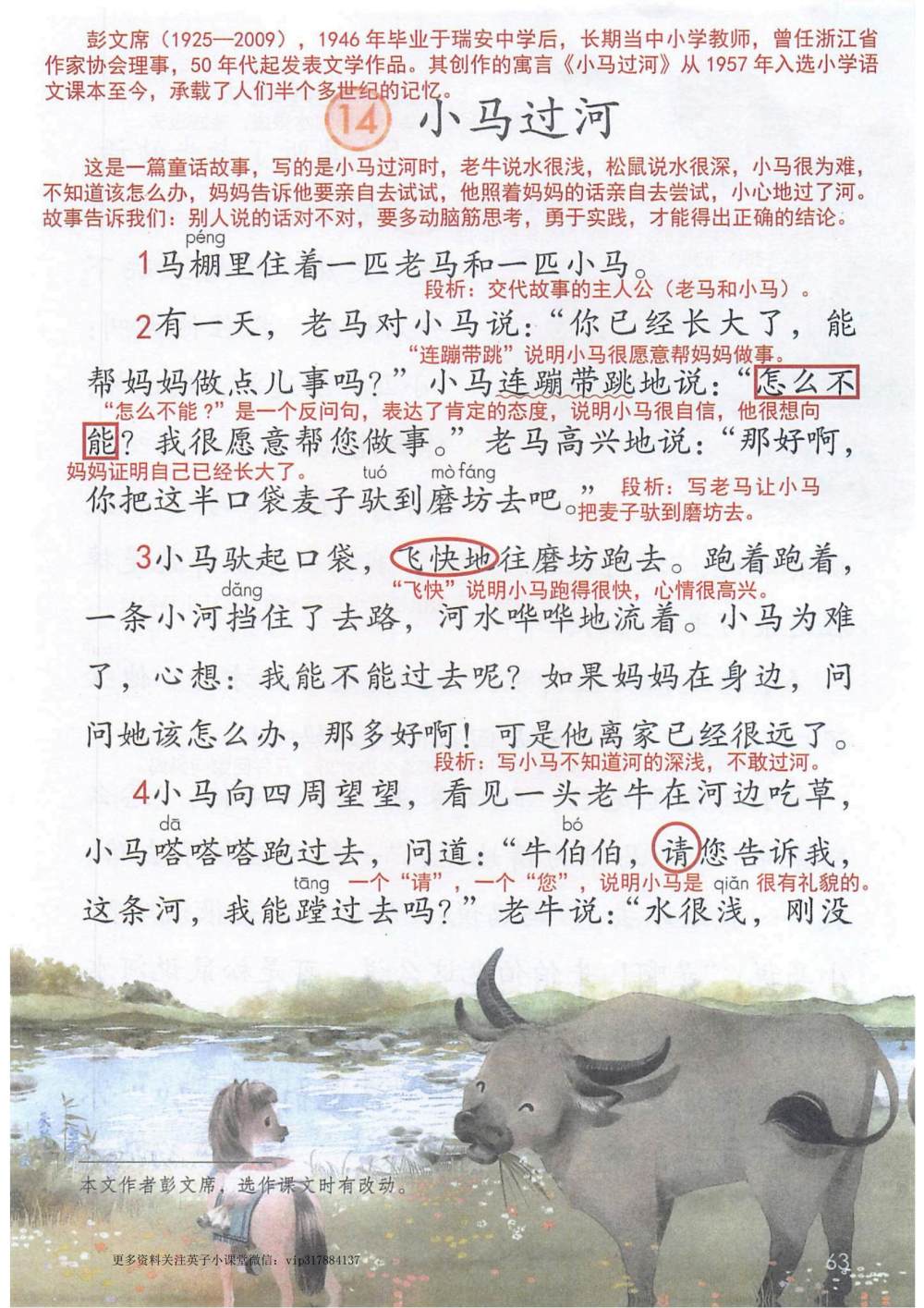 《小马过河》课堂笔记