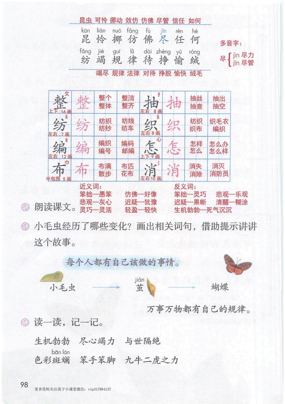 《小毛虫》课堂笔记