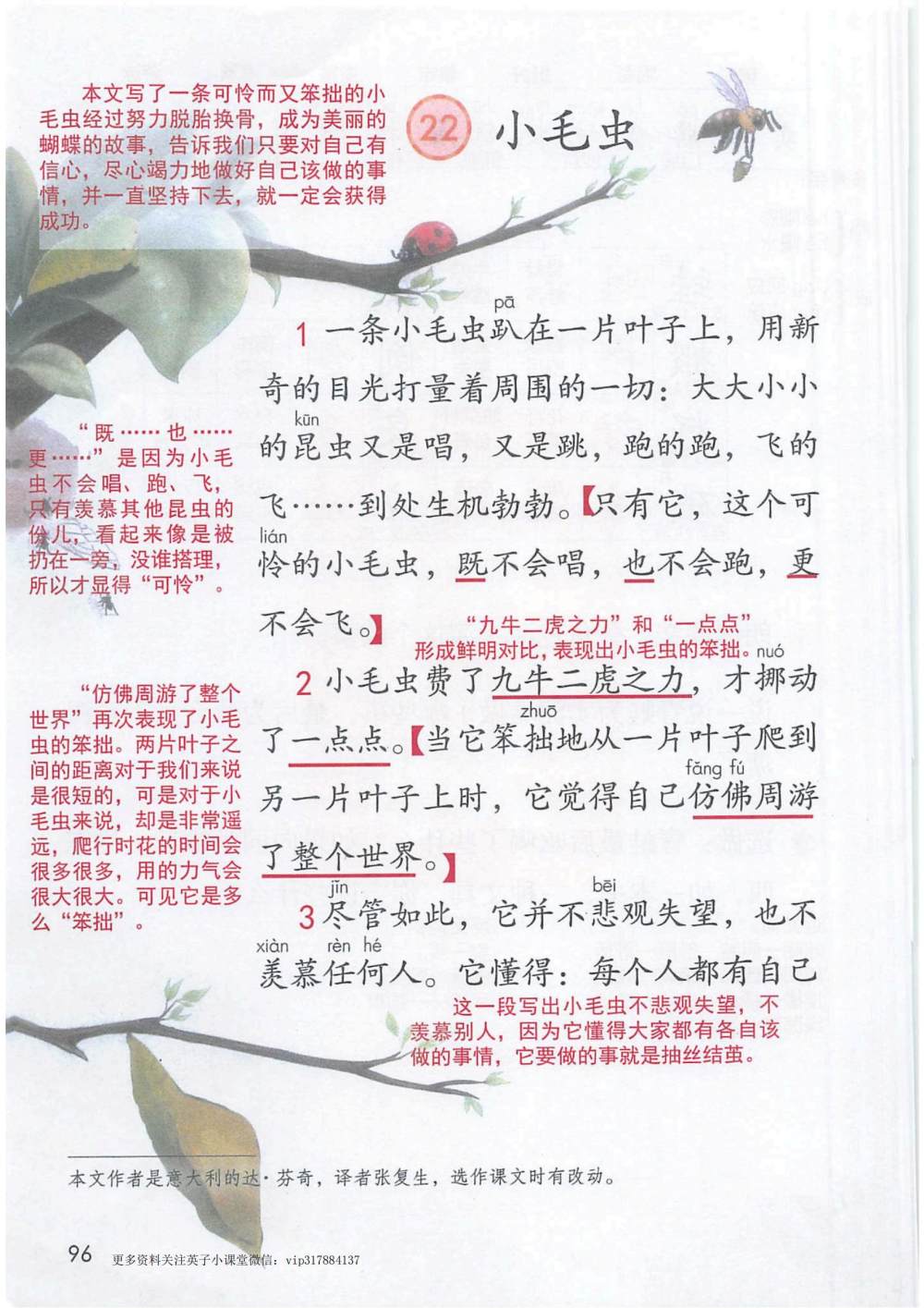 《小毛虫》课堂笔记