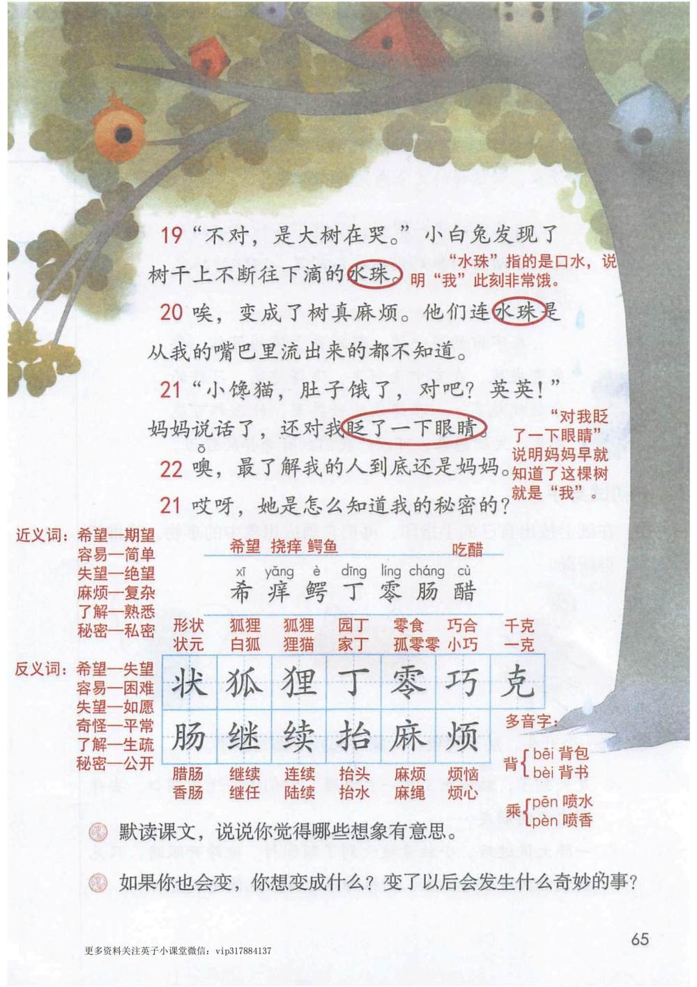 《我变成了一棵树》课堂笔记