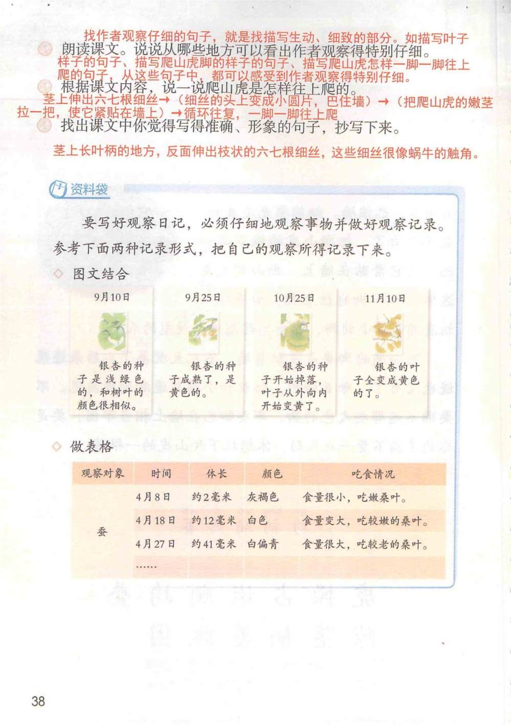 《爬山虎的脚》课堂笔记