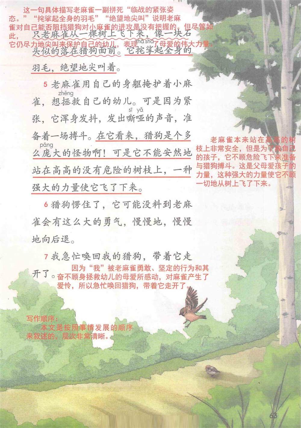 《麻雀》课堂笔记