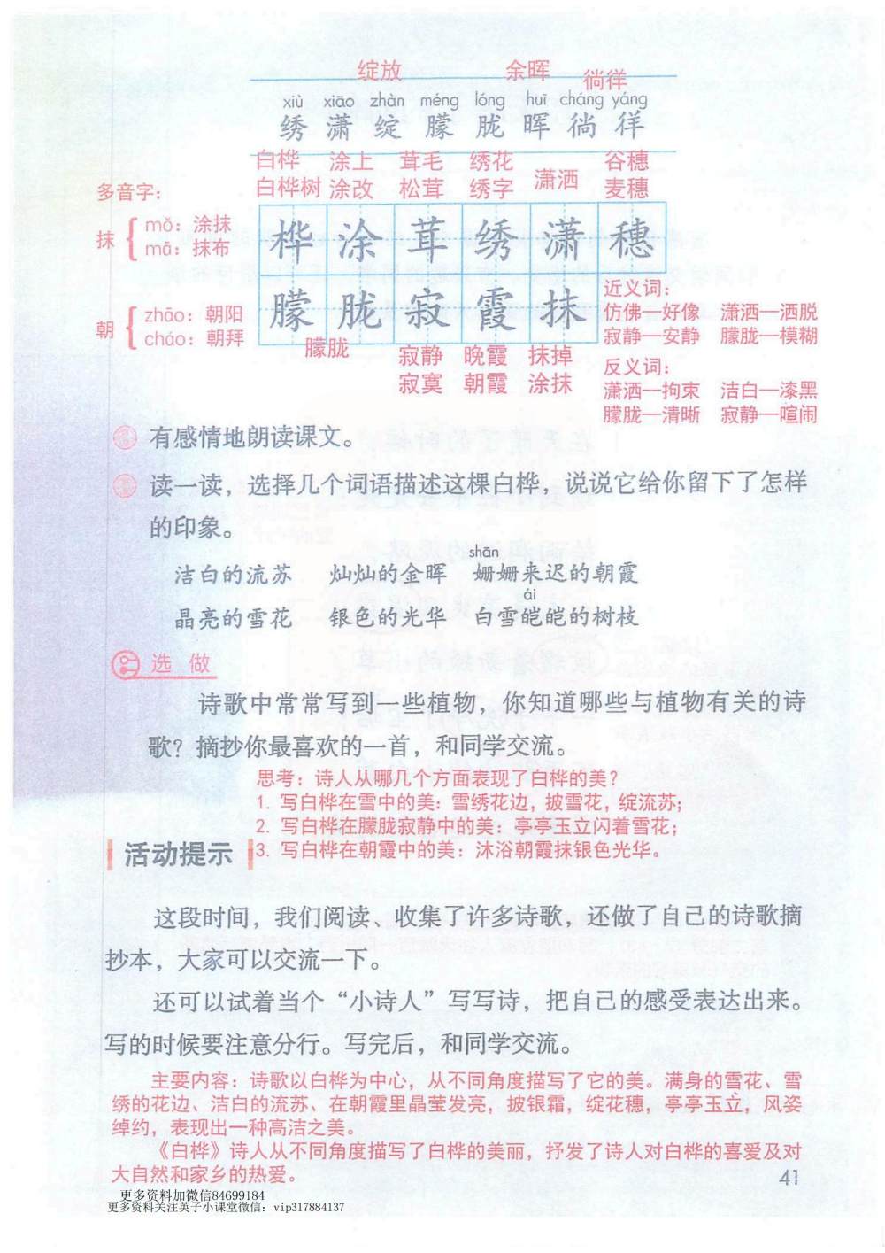 《白桦》课堂笔记