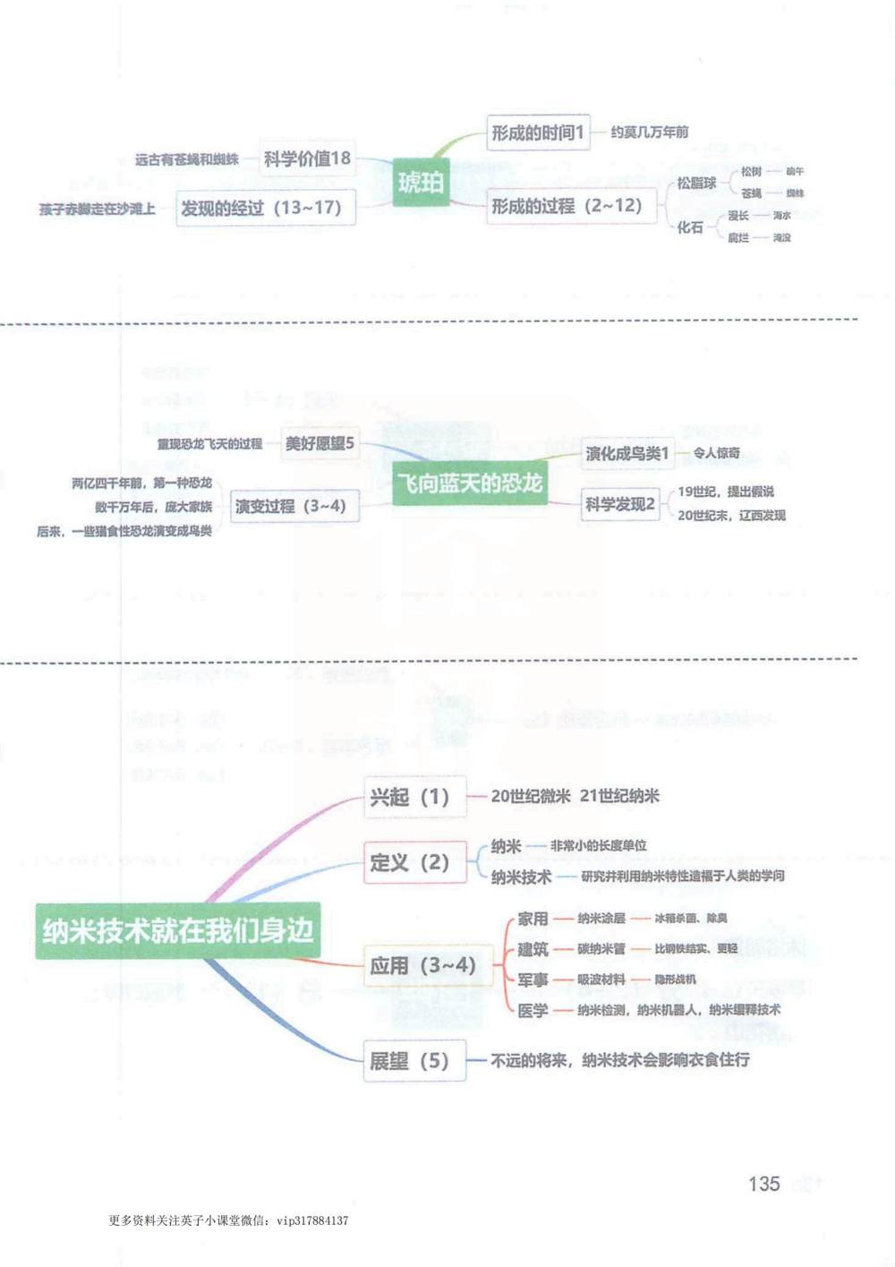 《琥珀》《飞向蓝天的恐龙》《纳米技术就在我们身边》思维导图