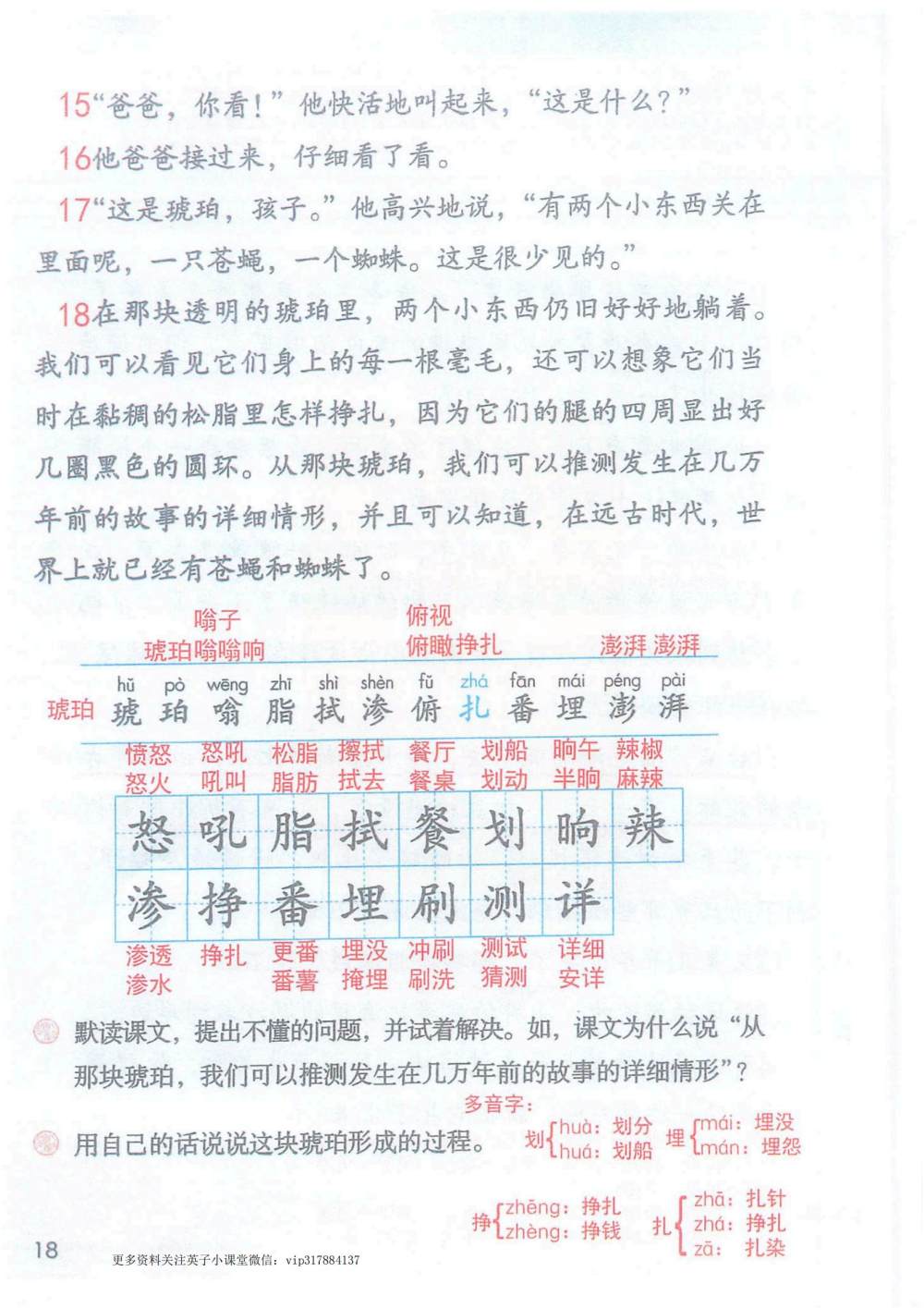 《琥珀》课堂笔记