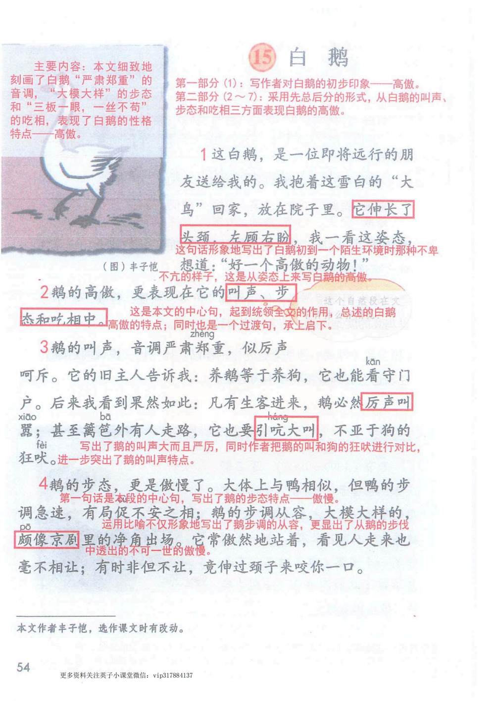 《白鹅》课堂笔记