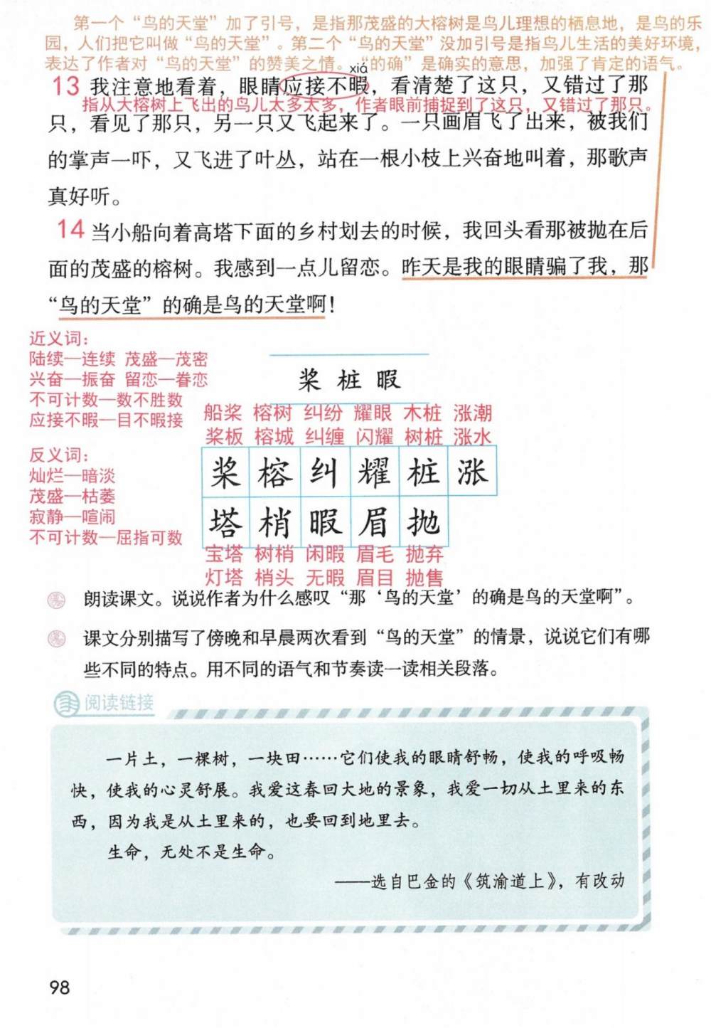 《鸟的天堂》课堂笔记