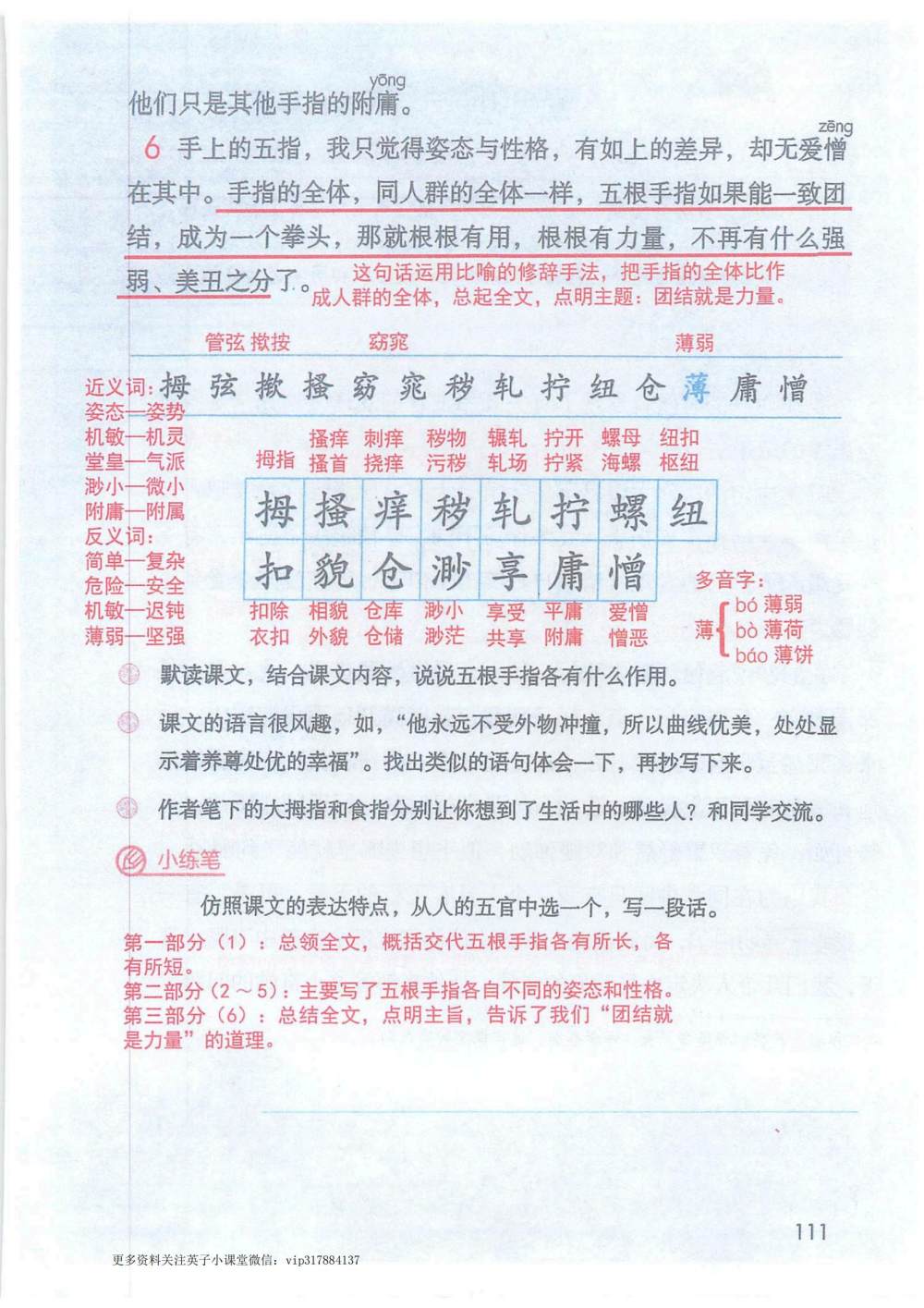 《手指》课堂笔记