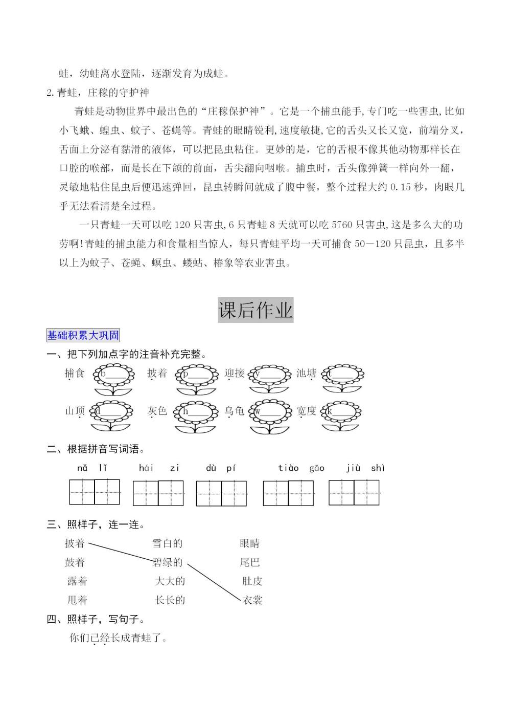 《小蝌蚪找妈妈》教案