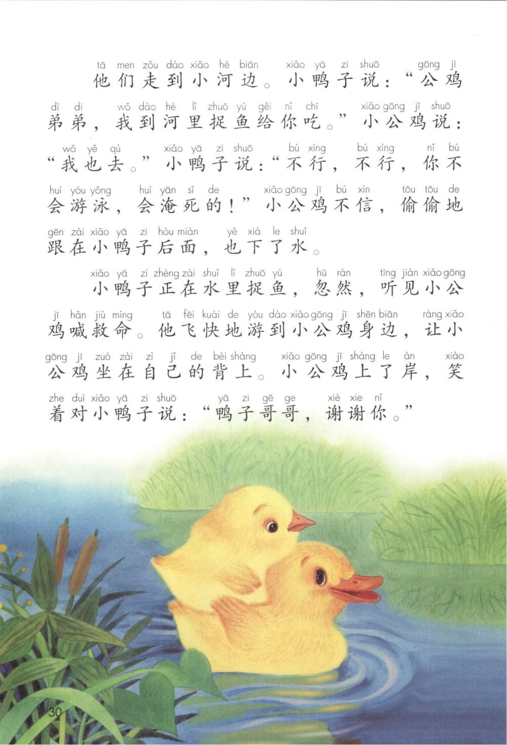 《小公鸡和小鸭子》课文