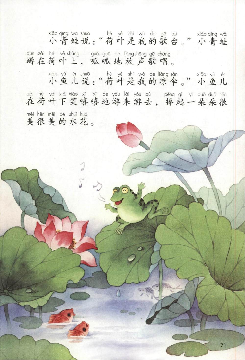 《荷叶圆圆》课文