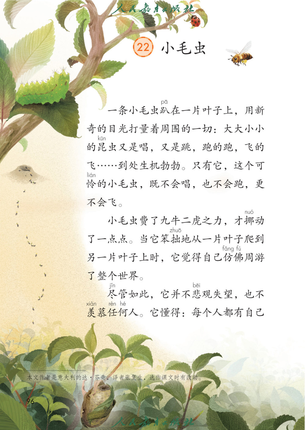 《小毛虫》课文