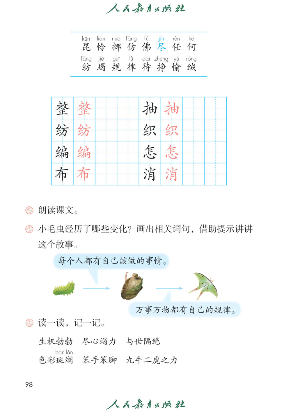 《小毛虫》课文