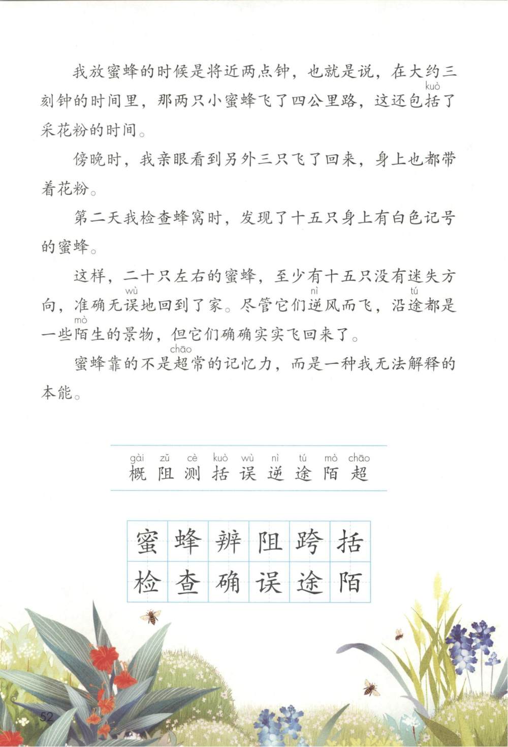 《蜜蜂》课文