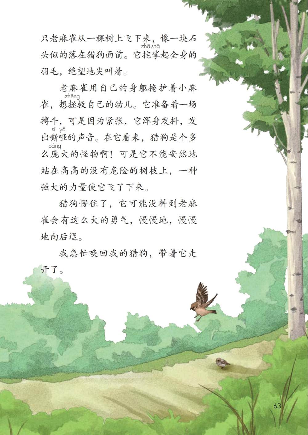 《麻雀》课文