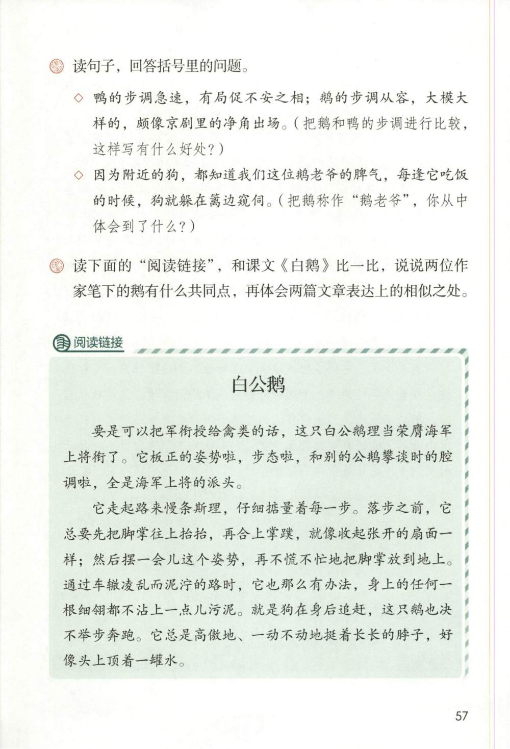 《白鹅》课文