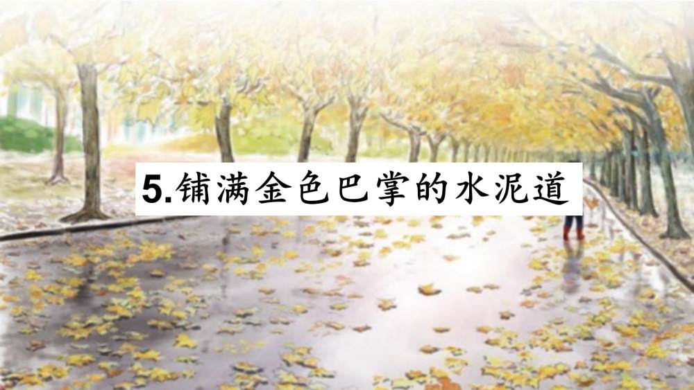 《铺满金色巴掌的水泥道》教学课件