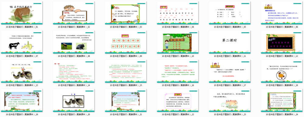 《在牛肚子里旅行》教学课件